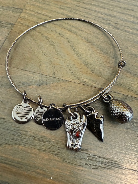 Alex and Ani Jewelry - Alex and Ani Silver Dragon Charm Bangle Bracelet with Textured and Heart Charms